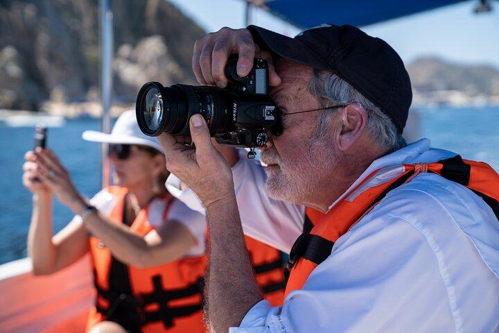 Los Cabos Whale Watching: Pictures Included / Transport Available