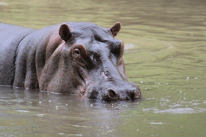 Aquila Safari Experience and Wine Full Day Private Tour Cape Town