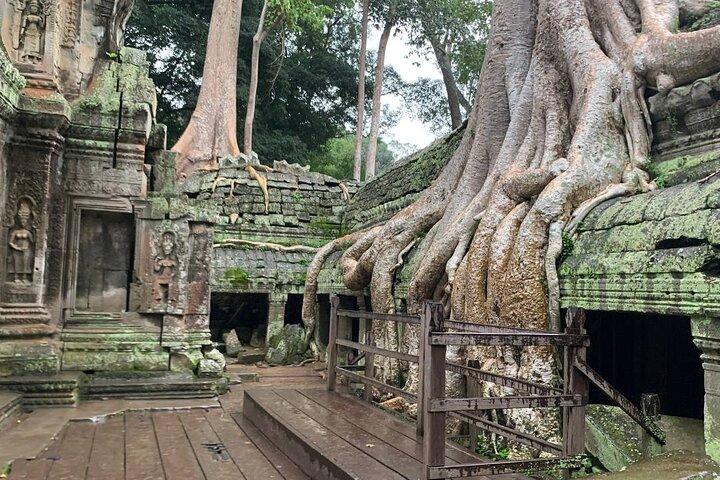 Angkor Wat Sunrise and Tonle Sap Cruise Sunset Tour