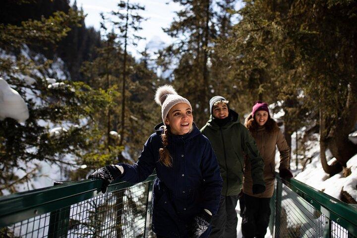 Johnston Canyon Frozen Waterfalls - Small Group Tour