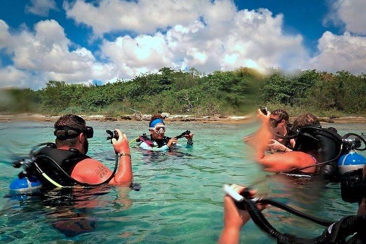 Discover Scuba Diving in Cozumel Paradise Reef