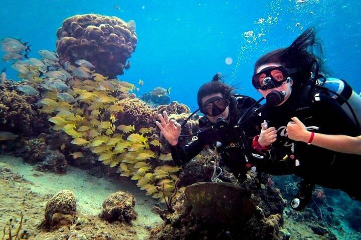 Discover Scuba Diving in Cozumel Paradise Reef