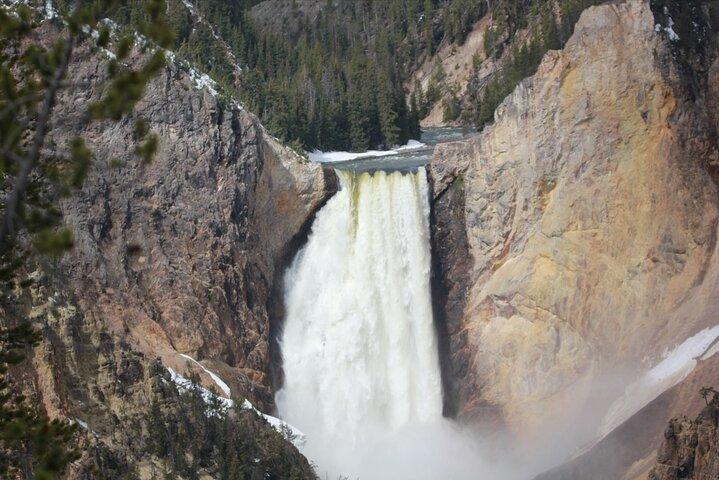 Lower Loop Yellowstone Wildlife Scenic - Jackson Hole Day Tour | WY