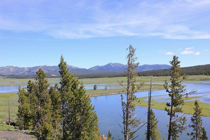 Lower Loop Yellowstone Wildlife Scenic - Jackson Hole Day Tour | WY
