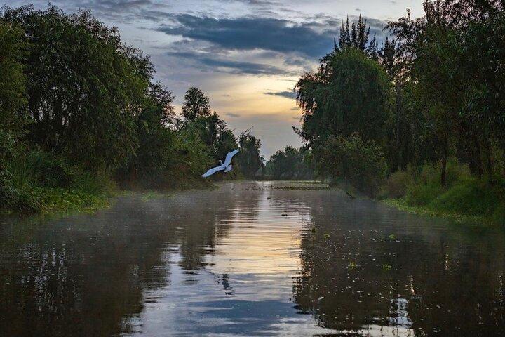 Xochimilco Sunrise from Mexico