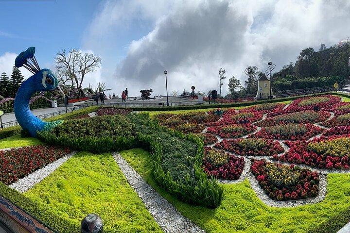 Ba Na Hills & Golden Bridge Tour from Da Nang