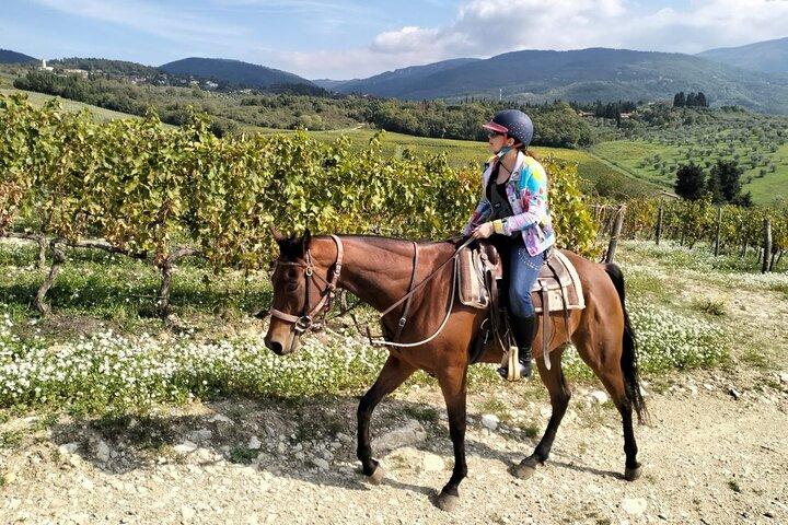 Private Tuscany Horse Ride, Wine Tasting and local food at Estate