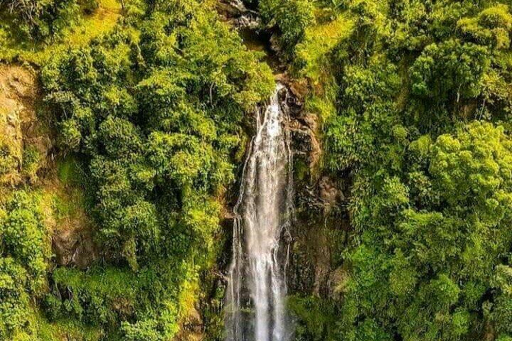 Day trip to Maasai village + Materuni waterfalls and coffee tour