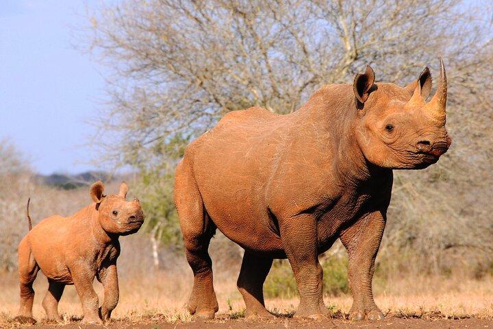 6-Day Tanzania Wildlife Safari