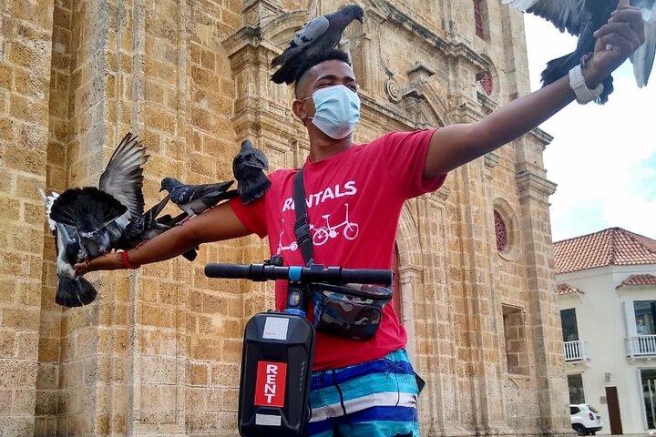 City tour by Segway scooter through the Walled City and Getsemaní