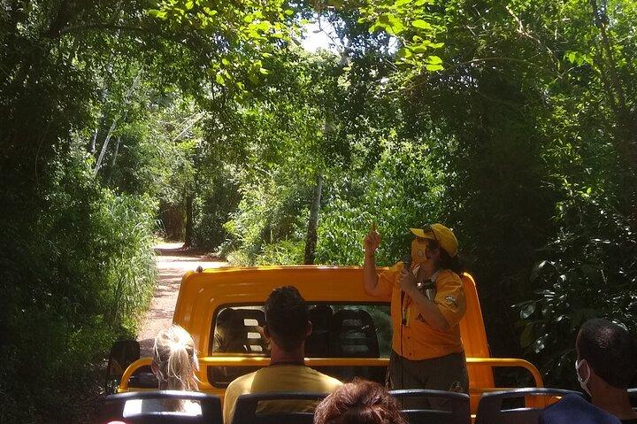 Iguazu Falls: Argentinian Side with Boat Ride, Jungle-truck and Train