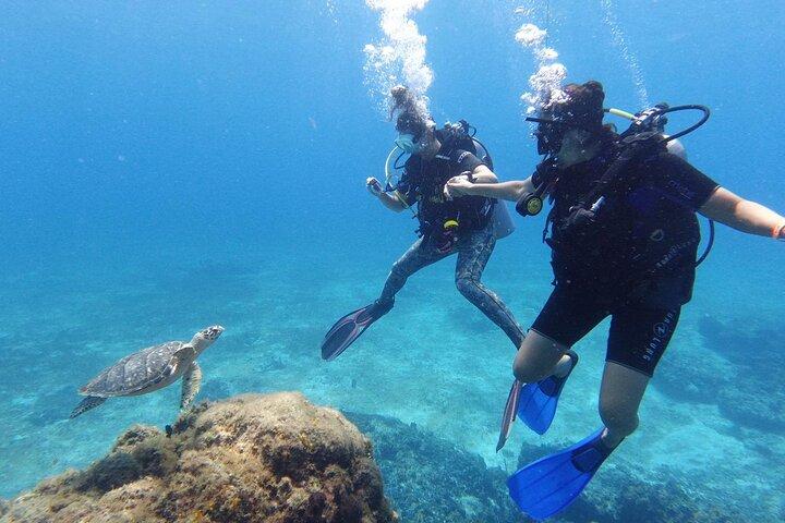 Cozumel: Discover Scuba Diving