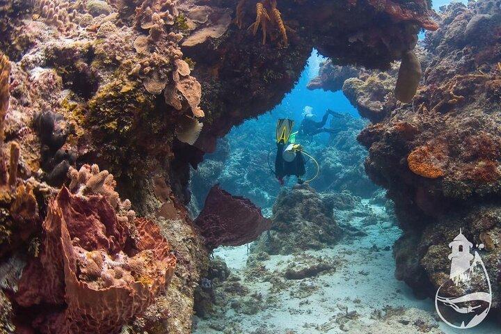 Cozumel: Discover Scuba Diving