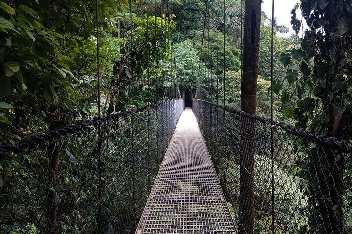 Hanging Bridges Walk in Costa Rica (Self-guided tour)