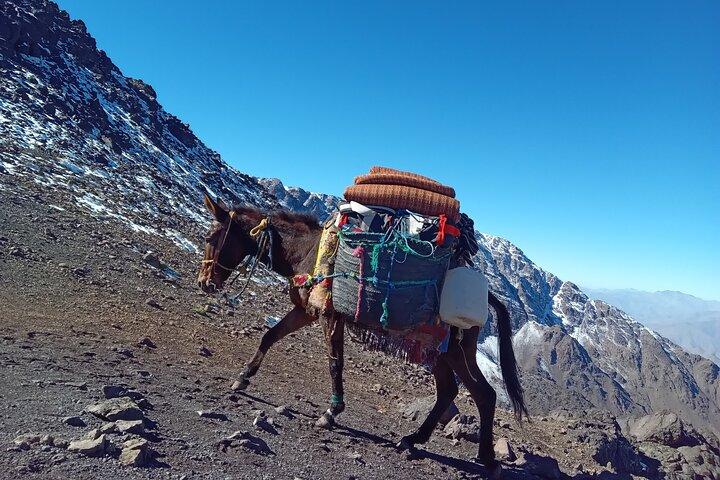 Private Climb Mount Toubkal 2 Days From Marrakech all Included