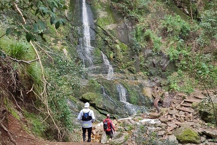 Incredible Table Mountain Guided Day Hike or Trail Run