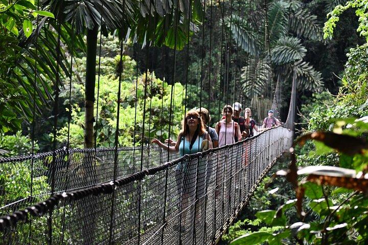 Hanging Bridges Walk in Costa Rica (Self-guided tour)