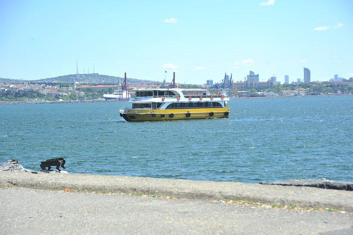 Istanbul: Bosphorus and Golden Horn Cruise with Audio Guide