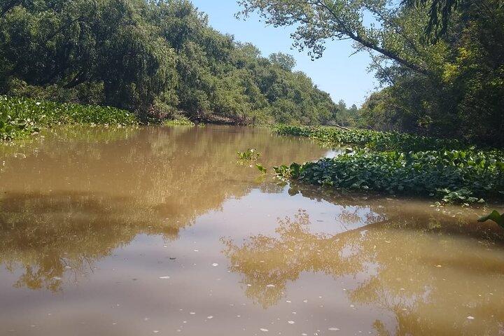 Safari náutico en tigre