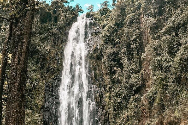 Half-Day Private Tour to Materuni Waterfalls and Coffee excursion