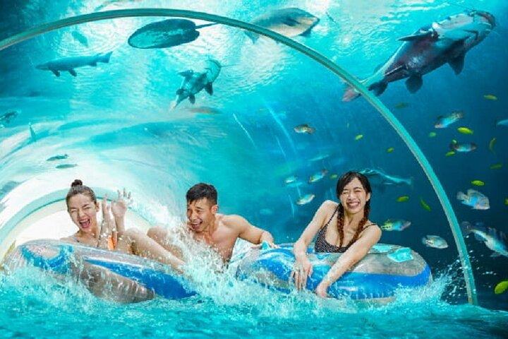 Singapore: Adventure Cove Waterpark Ticket & Transfer
