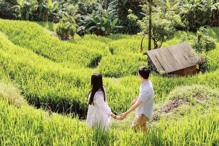 Bali Instagram Tour