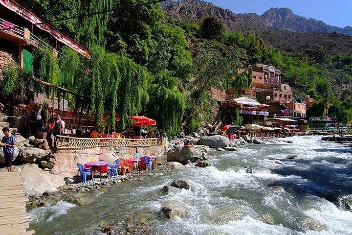 Ourika Valley & Atlas Mountains DayTrip From Marrakech With Guide