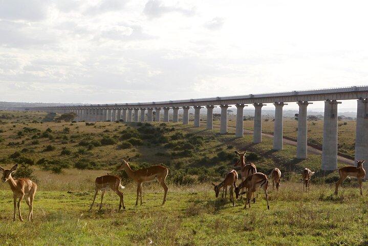 Nairobi National Park Group Shared Tour