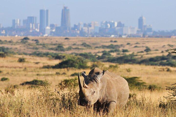 Nairobi National Park Group Shared Tour