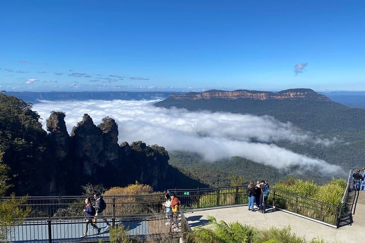 PJ Blue Mountains Supreme [MAX8+1]