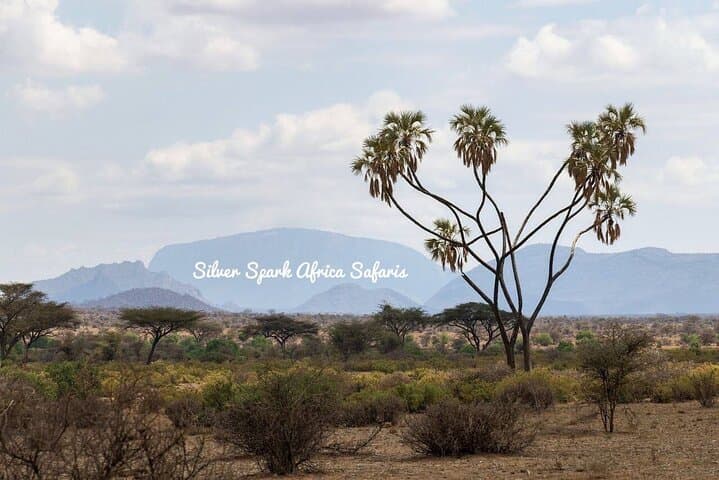 10-Day Samburu National Resreve, L Naivasha, Maasai Mara, Amboseli, L Nakuru