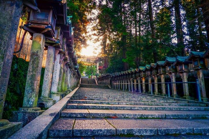Hidden Gems of Osaka Kyoto Nara - Private Car Tour by Local Guide