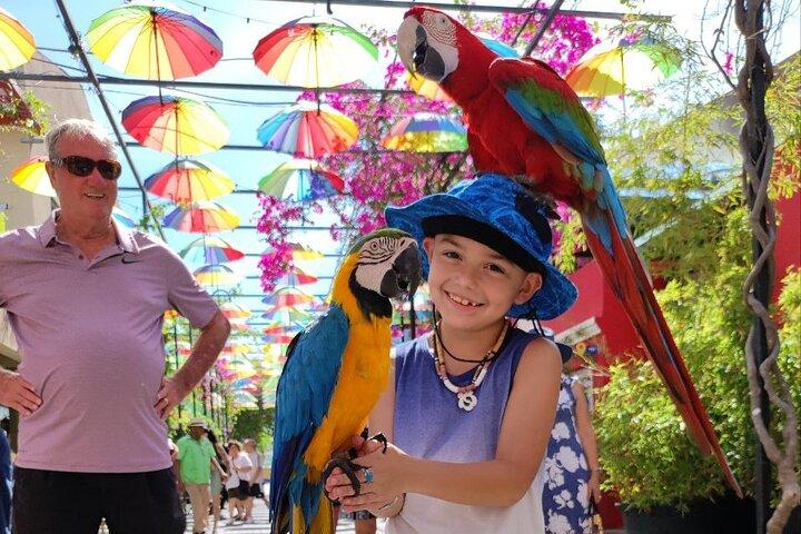 Puerto Plata City Tour