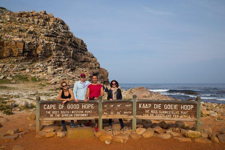 Cape Town Table Mountain Cape Point Penguins Full-Day Private Tour