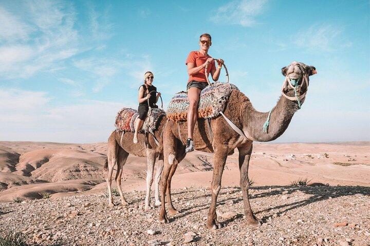 Agafay Desert - Quad, Camel Ride & Dinner with Spectacular Show