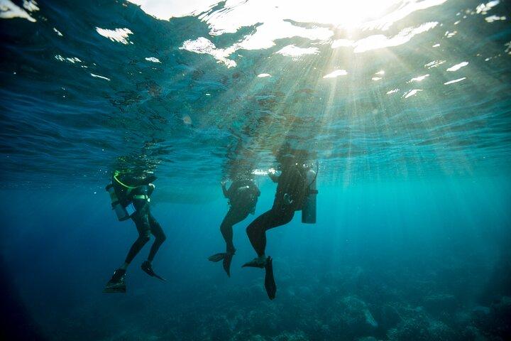 Half-Day Private Discover Dive at Australia's Iconic Beach