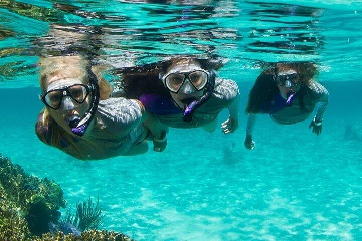Guided Snorkeling Experience in Bondi