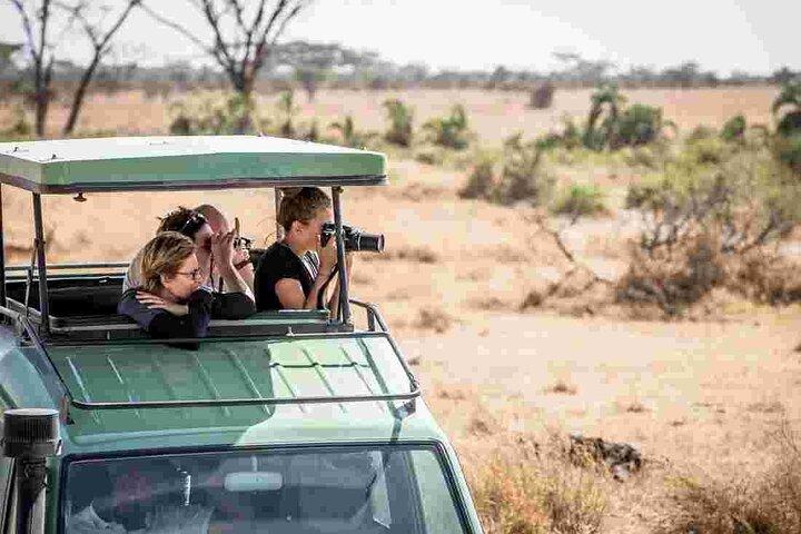 4 Day Private Serengeti and Ngorongoro Mid Range Tour