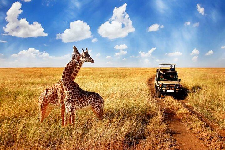 4 Day Private Serengeti and Ngorongoro Mid Range Tour