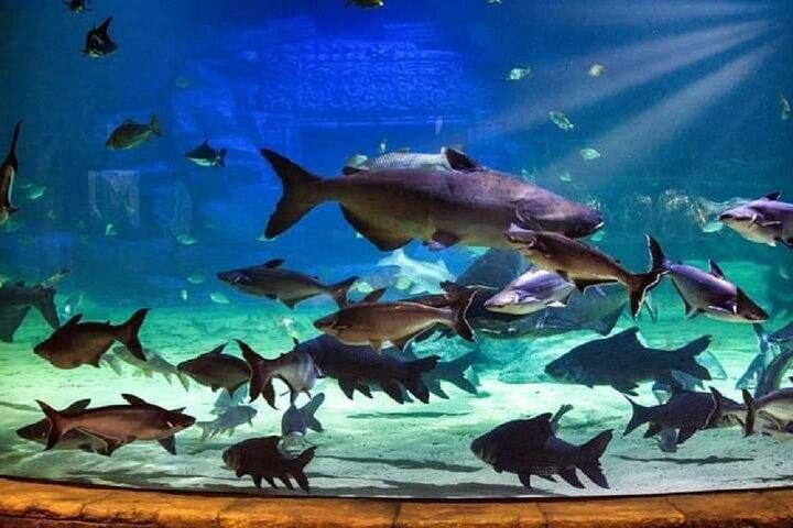 Angkor Wildlife & Aquarium Halfday tour