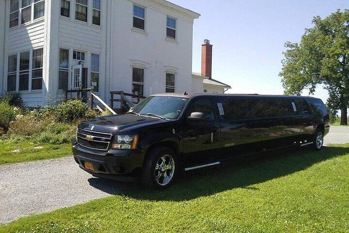 Arrival Private Transfer Las Vegas by Luxury SUV or LIMO with 1 hour disposal