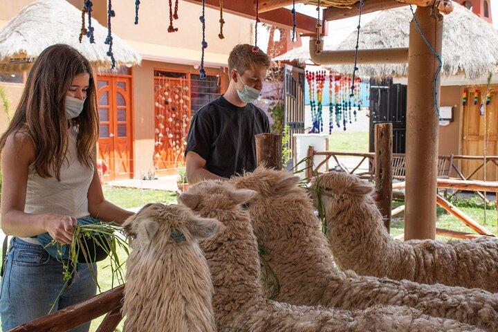 From Cusco: Sacred valley and Moray salt Mines