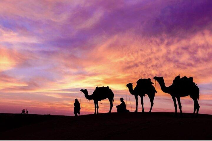 Marrakech To Fez 3 Days 2 Overnights Desert Tour