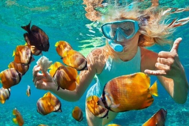 Luxury Safari Blue – Snorkeling, Sandbank & Seafood Lunch