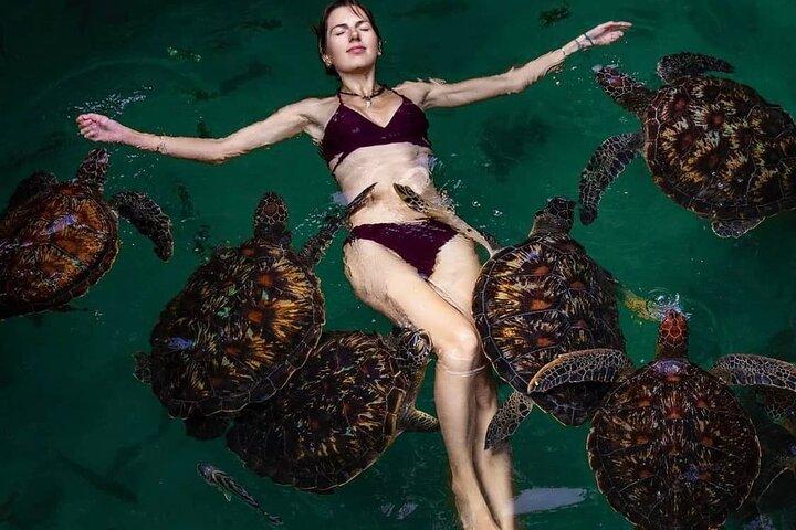 Mnemba Island, Nungwi Village & Sea Turtle Experience