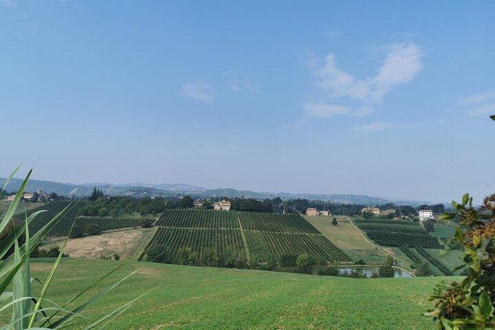3 Hour E-bike Tour with Parmesan and Balsamic Vinegar