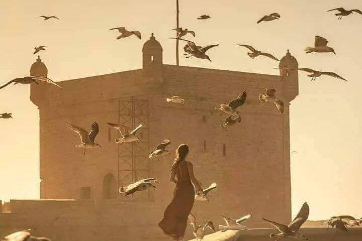 Marrakech: day trip to Essaouira beautiful the historique