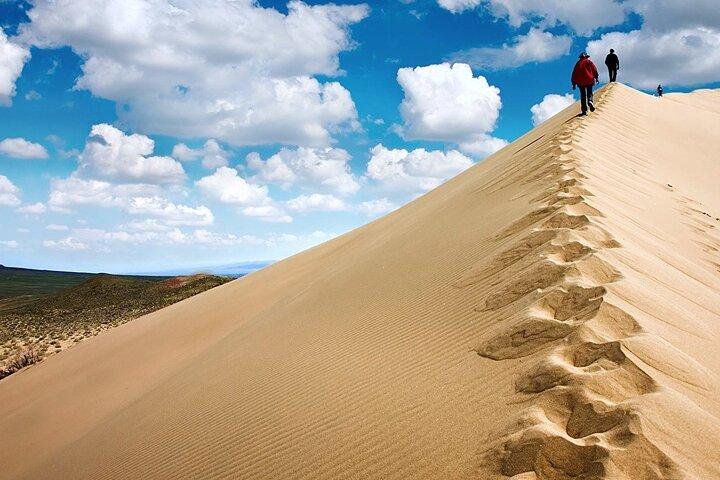 1 Day Express Tour: Altyn Emel National park