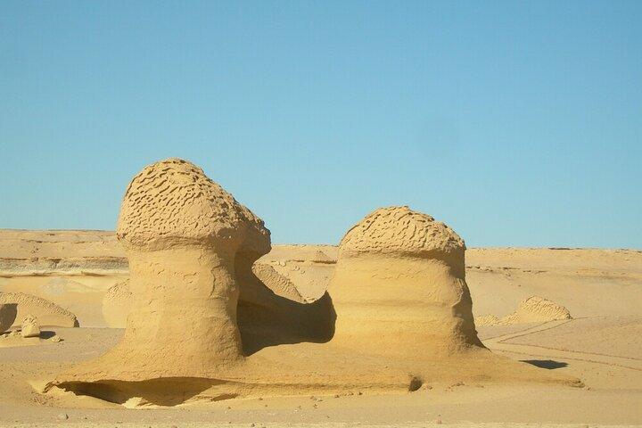 Safari Tour to El Fayoum from Cairo Wadi El Rayan & Wadi Hitan & Sandboarding