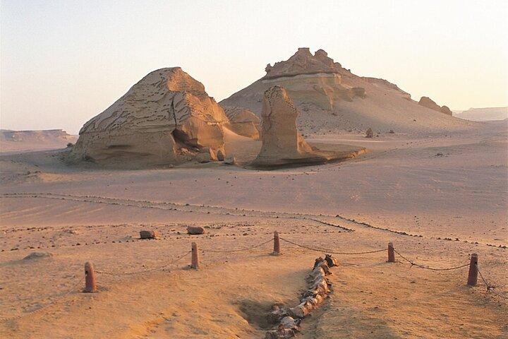 Safari Tour to El Fayoum from Cairo Wadi El Rayan & Wadi Hitan & Sandboarding